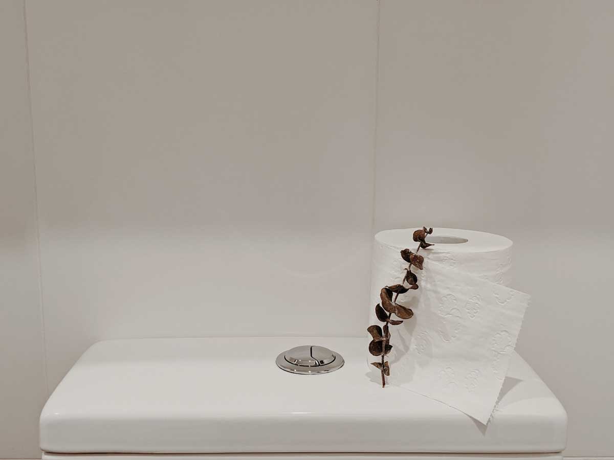 Why Is My Toilet Tank Empty?